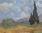 Wheat Field with Cypresses (nn04) Vincent Van Gogh